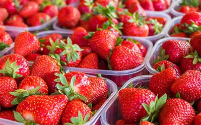 image of Why some plastic packaging is necessary to prevent food waste and protect the environment