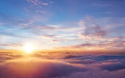 image of Bacteria and viruses are travelling the world on highways in the sky