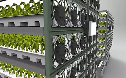 image of OLEDs could boost vertical farm efficiency by 20 per cent