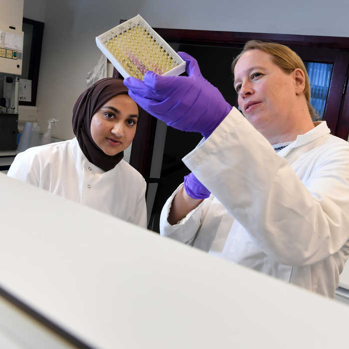 Course presentation: Environmental Sciences