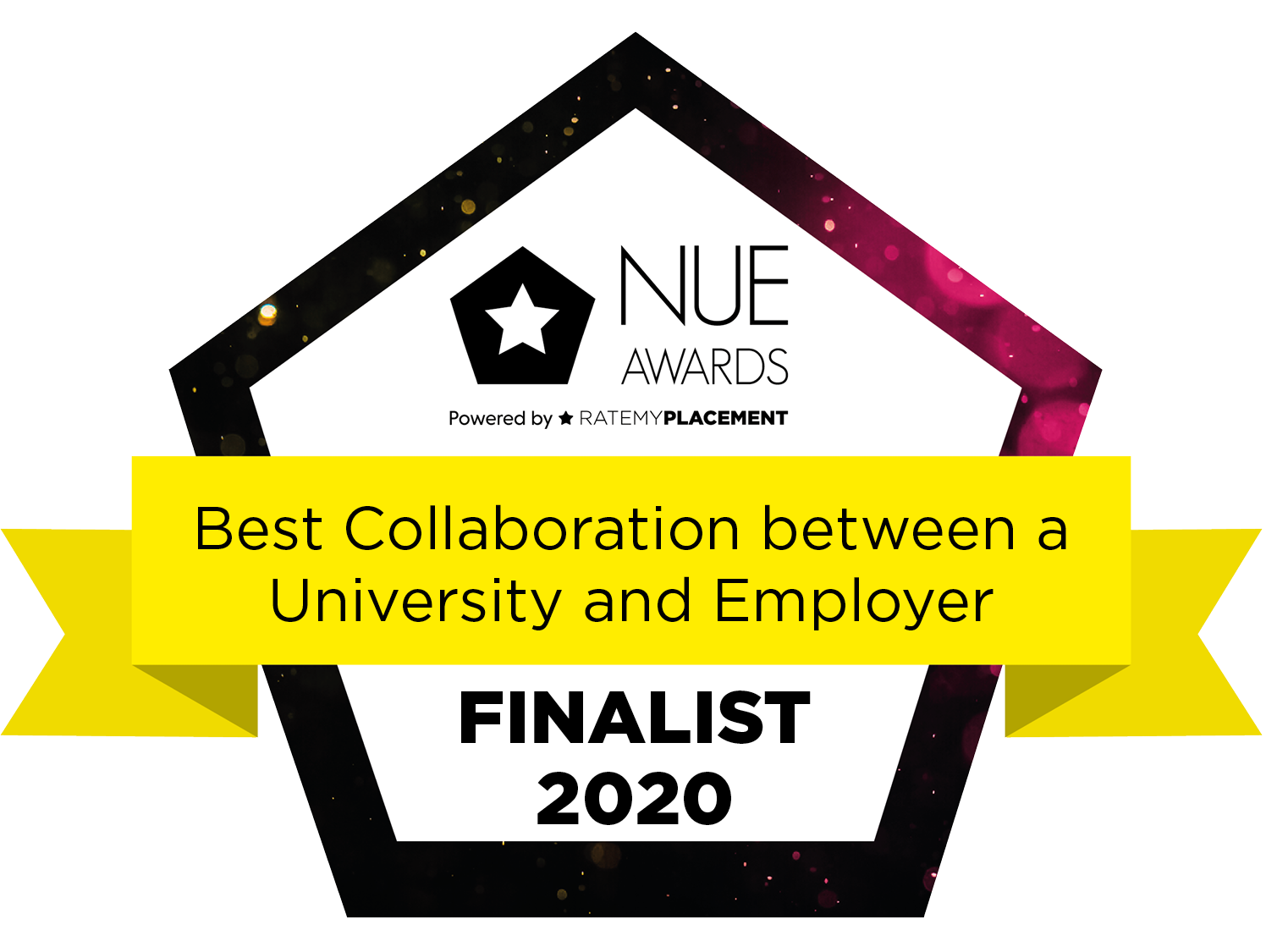 Best Collaboration between a University and Employer Finalist Badge 2020