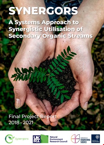 Synergors final report