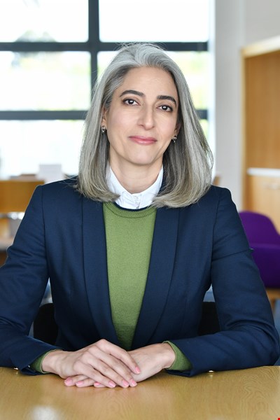 Dani Saghafi