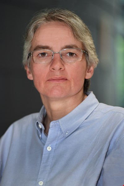 Professor Diane Mynors