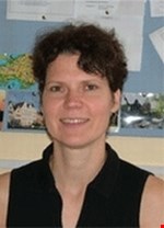 Dr Gudrun Stenbeck