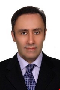 Professor Hamid Bahai