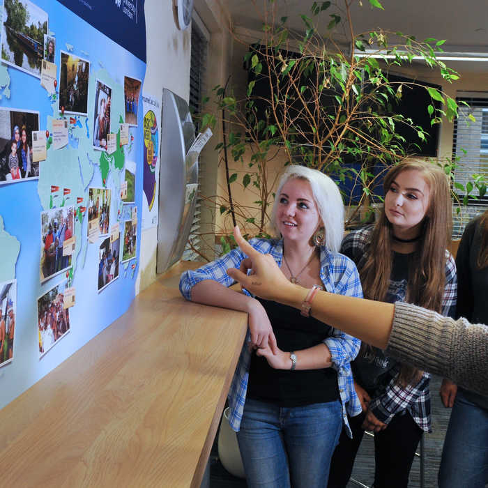 Gain a global insight while you study image box