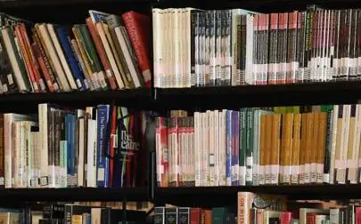 image of Webinar: Postgraduate Politics and International Relations