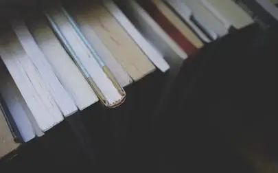 image of Global Lives hosts Professor Anne Cranny-Francis