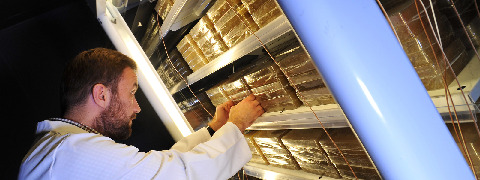Energy Efficient and Sustainable Technologies image