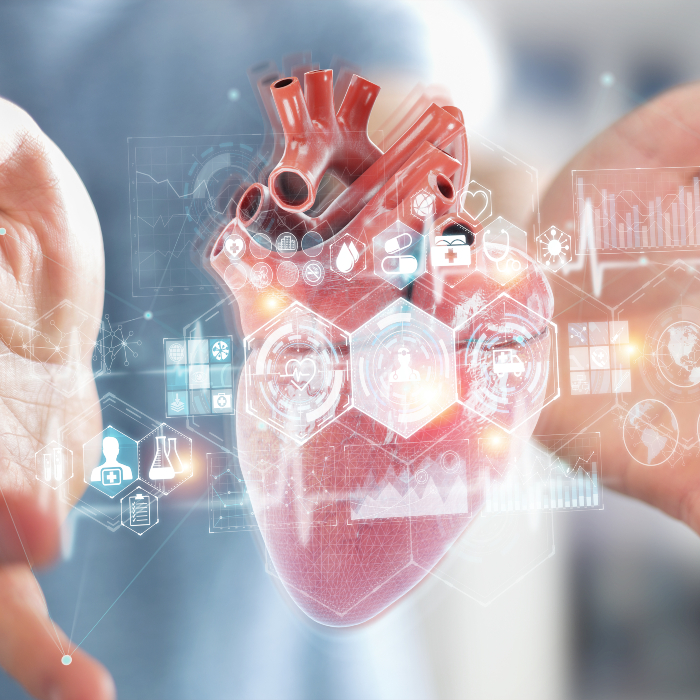 Cardiovascular and Metabolic Research Group image