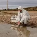 scientist testing water next to plant