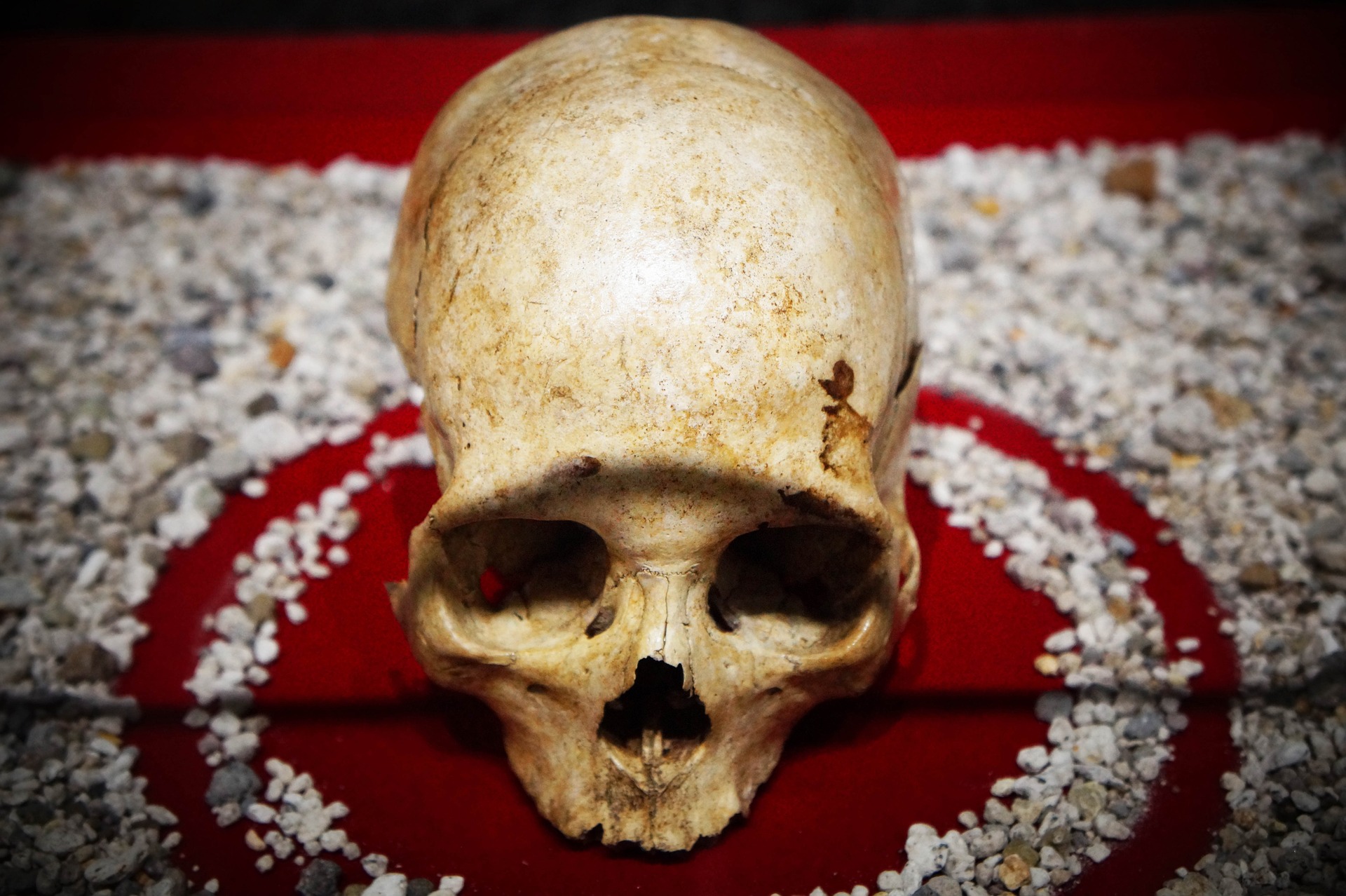 Histories and Concepts of Anthropological Knowledge image