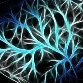 image of Computational Modeling of Vascular Pathologies and Therapies: Toward Treatment's Customization