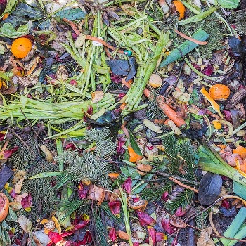 Circular Food Forum image