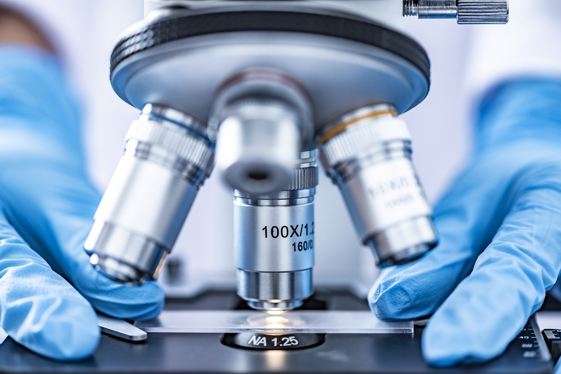 Organ-on-a-Chip image