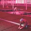 AMO/ Rem Koolhaas,   “Countryside: A Report” -  Greenhouse city/Regenerative Agricultur2020 (c) AMO