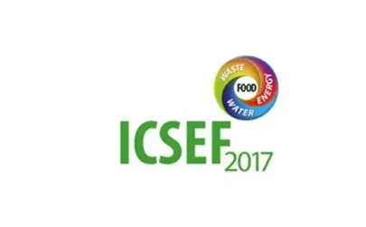 image of ICSEF 2017