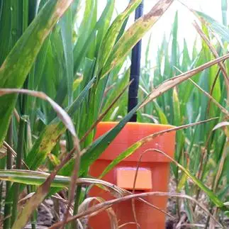 Internet of Things soil monitoring system