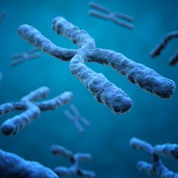3D illustration of x-chromosomes on a blue background thumbnail