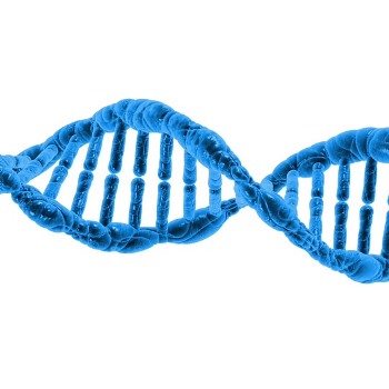 dna strand