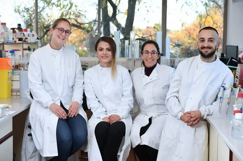 Our research team