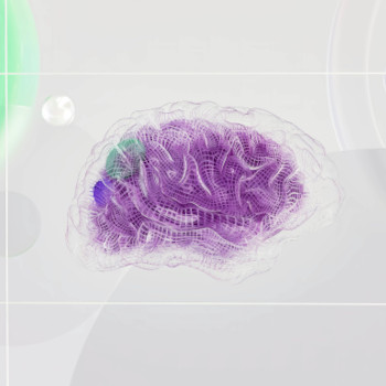 A stylized, translucent mesh model of a brain