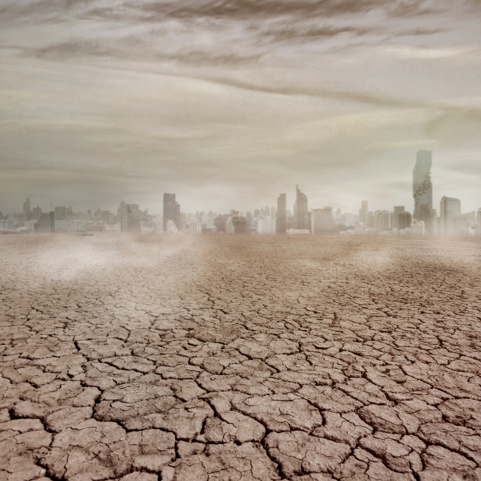 barren landscape