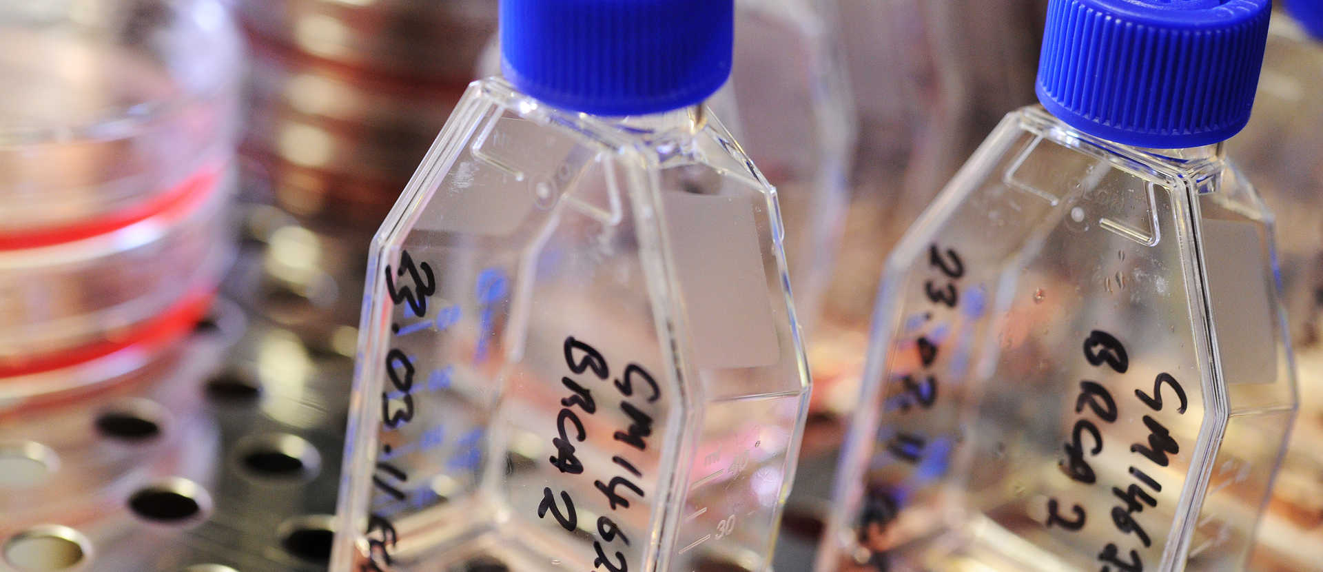 biomedical equipment