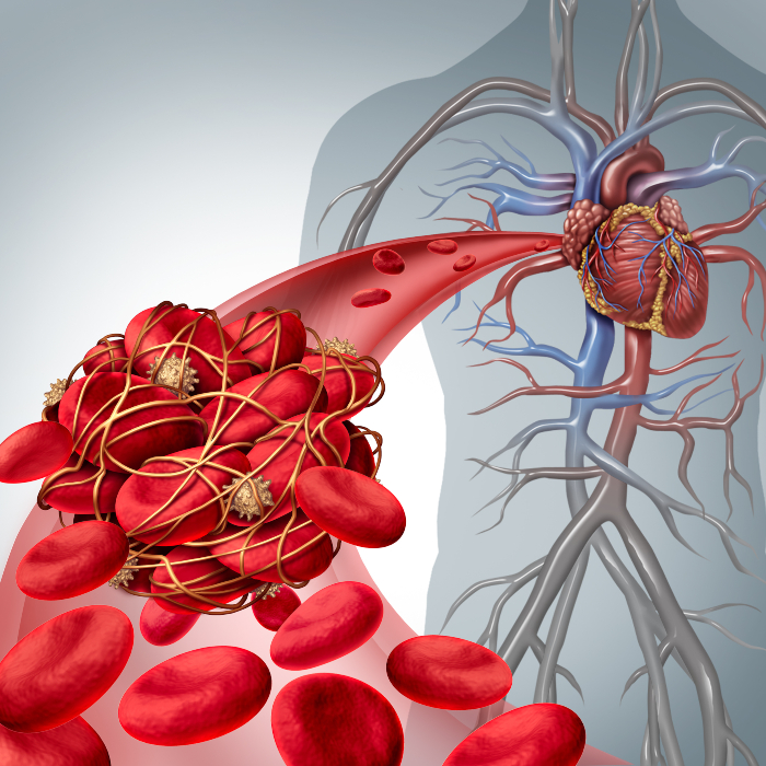 blood cells