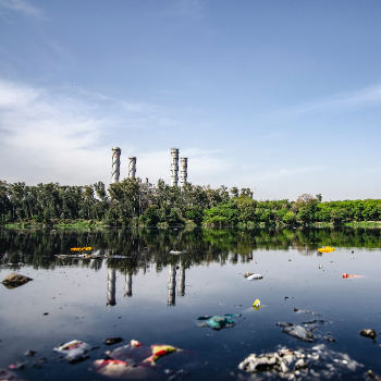 chemical pollution