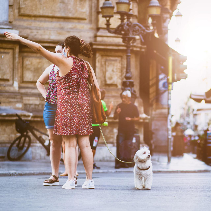 tourist sightseeing a city