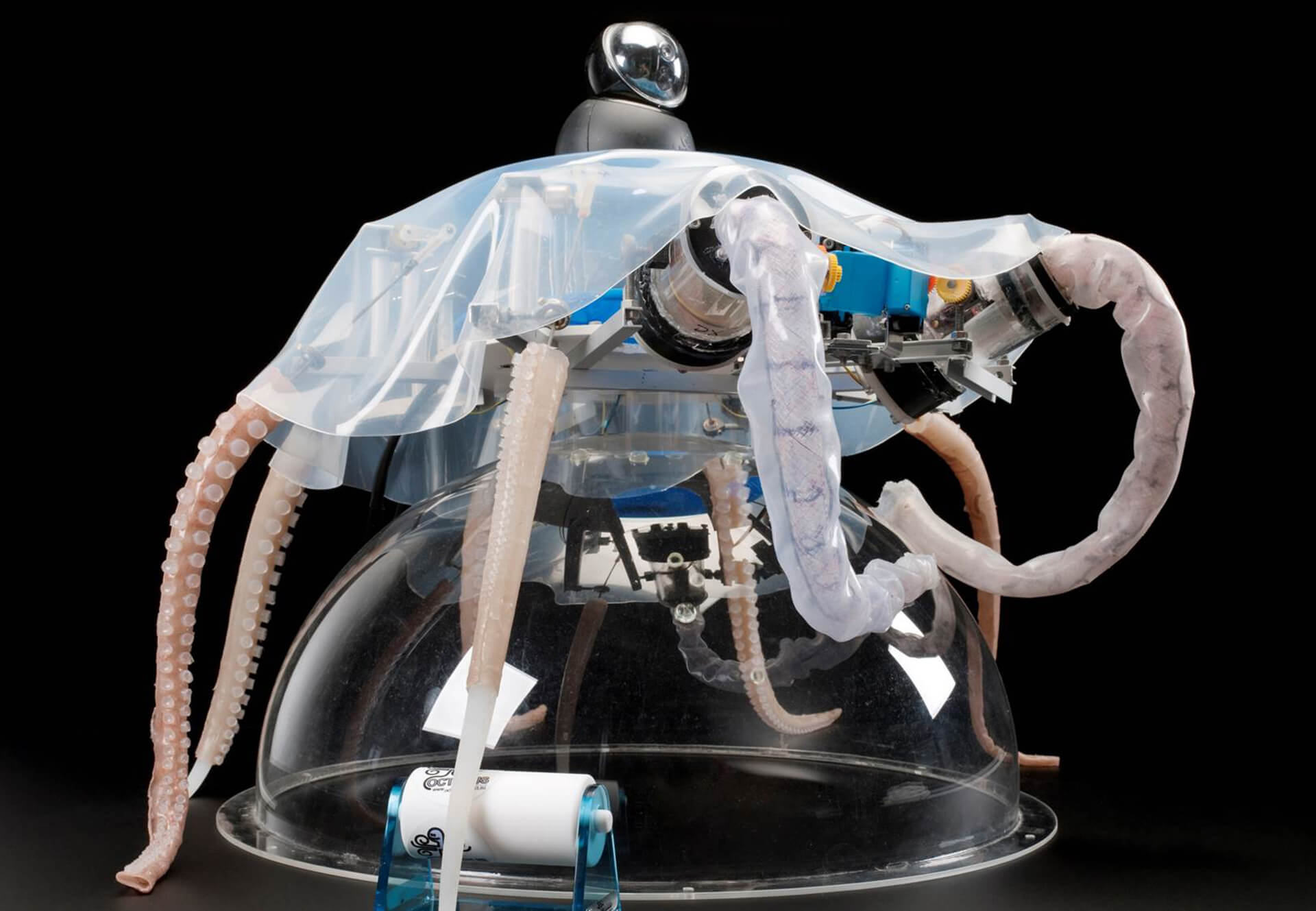 Creating bio-inspired soft robotics