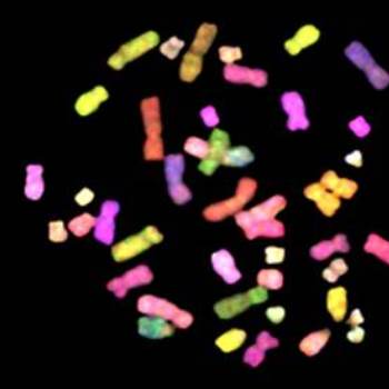 microscope image