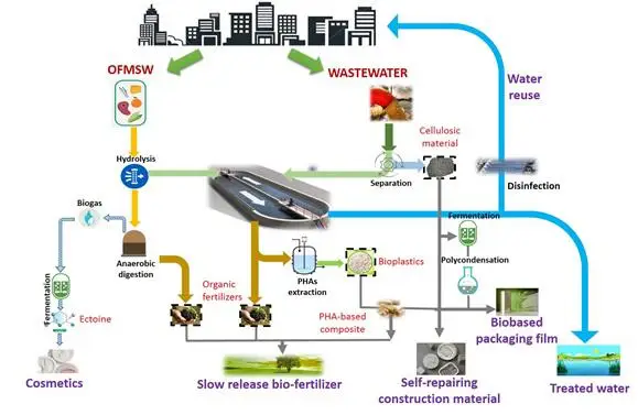 image showing the process of Conversion of urban bio-wastes into sustainable materials and products