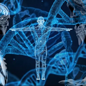 dna strands