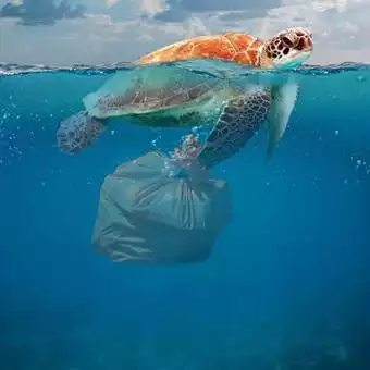 Perceptions of plastics pollution in Sri Lanka and Vietnam