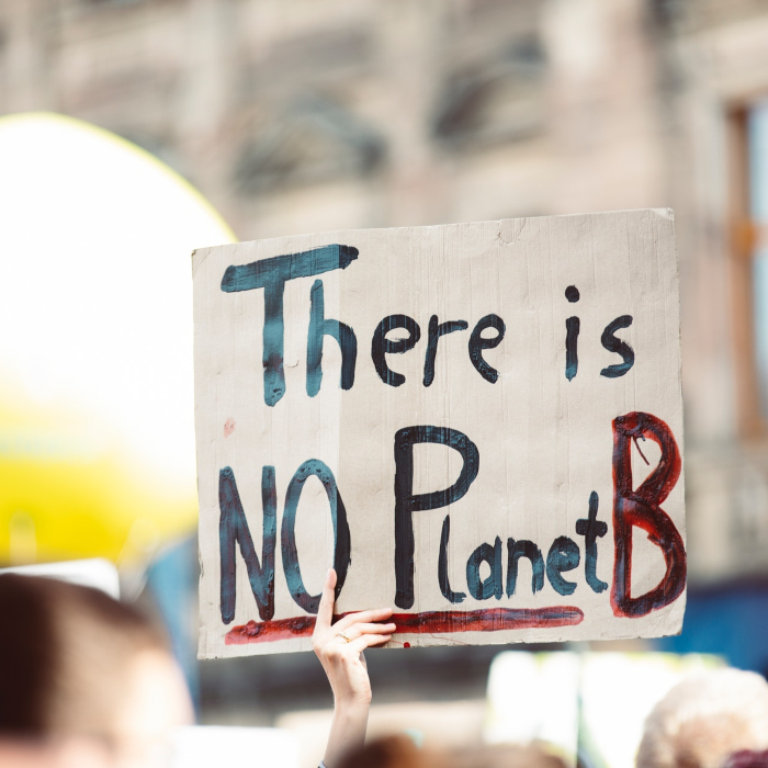 environmental poster