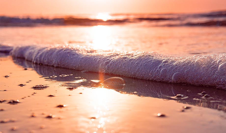frothy seawater on sand