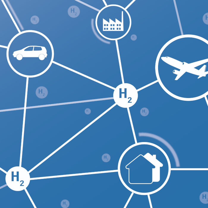 hydrogen network