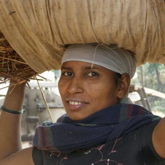 Indian woman farming