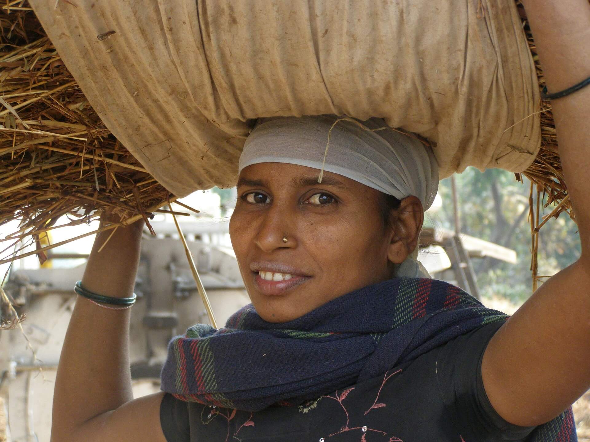 Indian woman farming