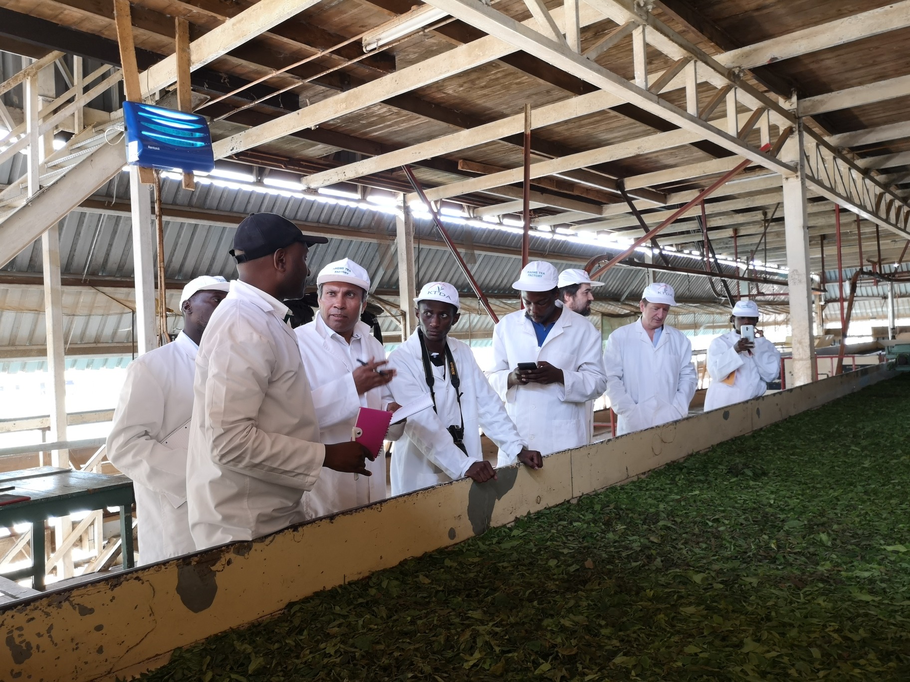 kenya tea production