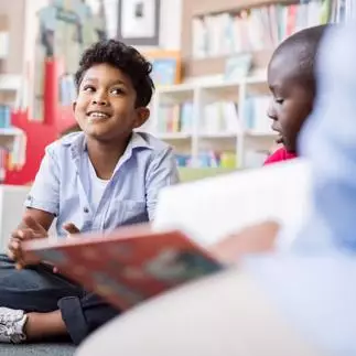 Using children’s literature to interrogate racialised language discrimination