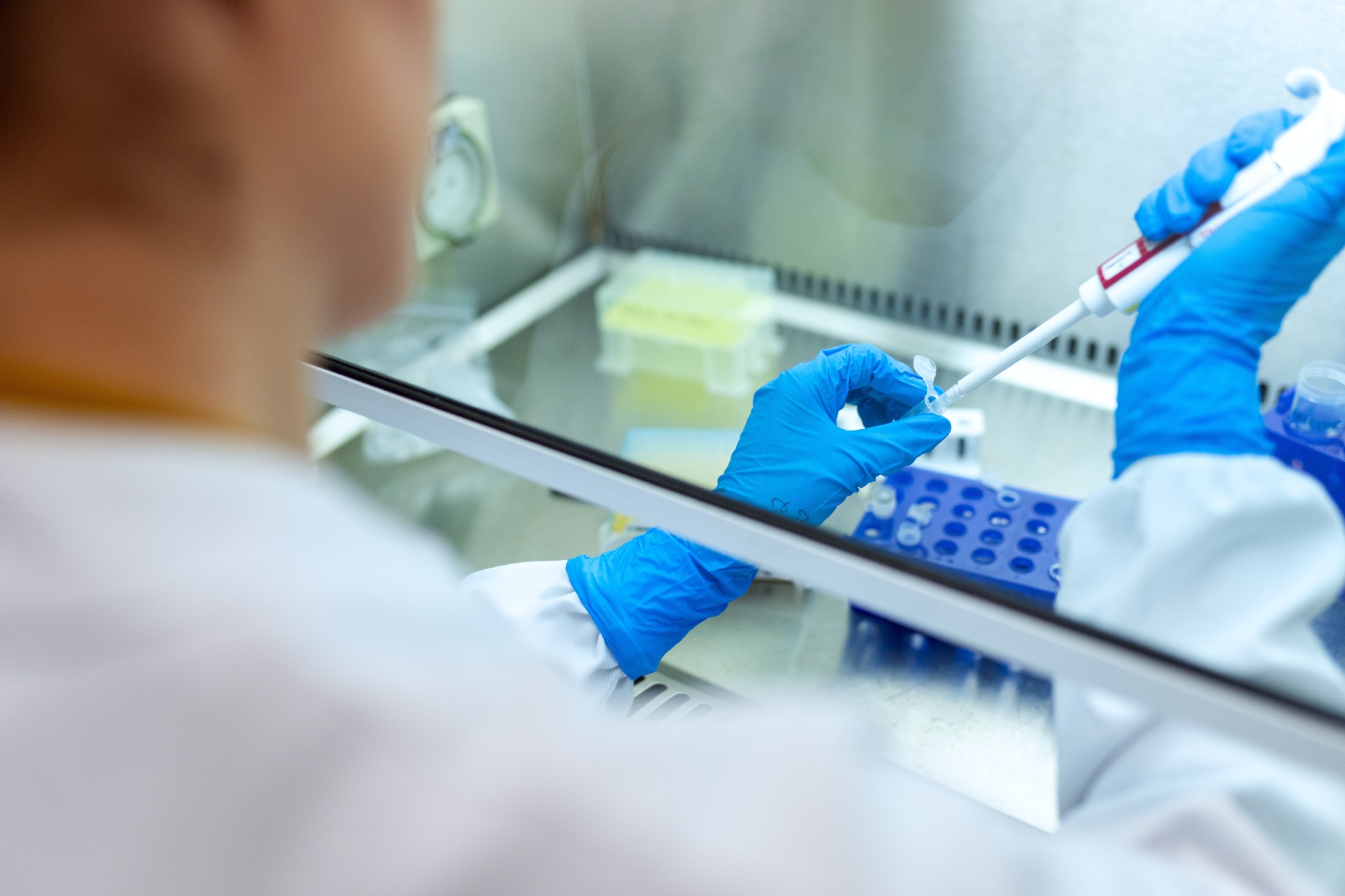 lab work