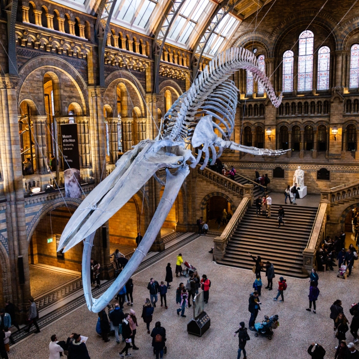 Natural History Museum