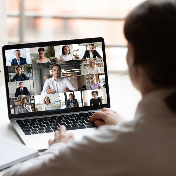 woman looking at online meeting
