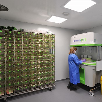 Animal research lab