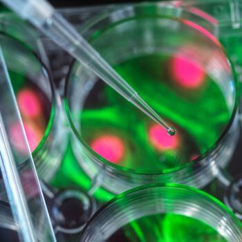 Precision laboratory work with glowing samples.