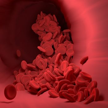 red blood cells
